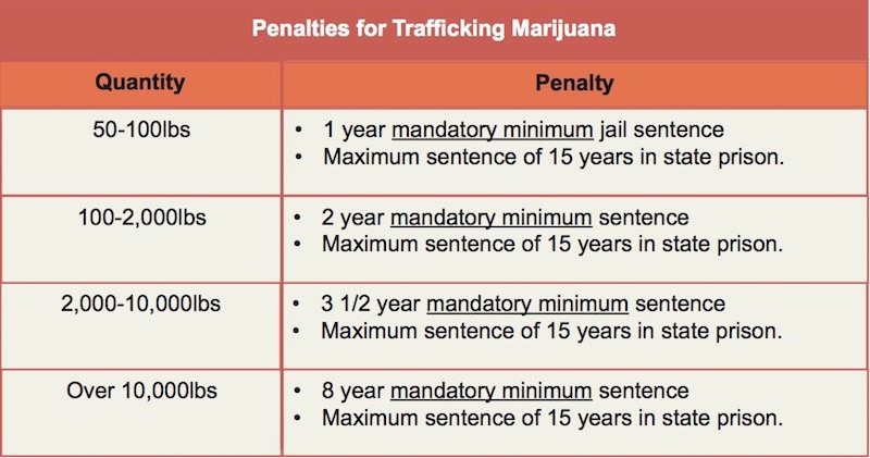 Trafficking and Marijuana table